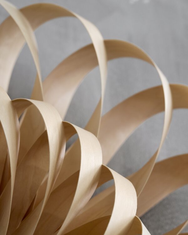 TR43 WALL LIGHT